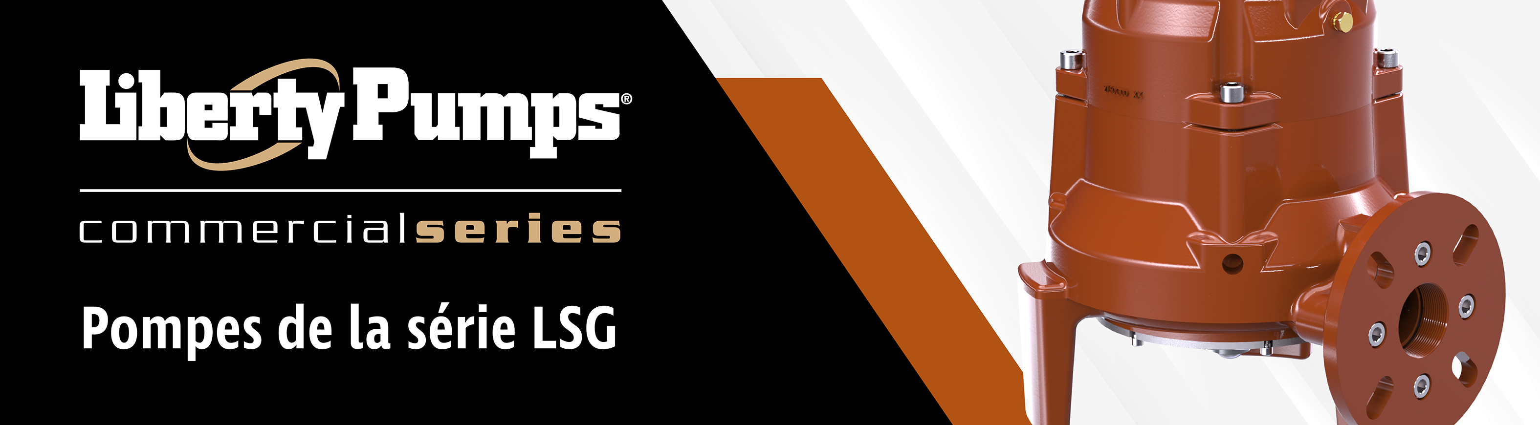 LSG-Series-Header-FR-01.jpg